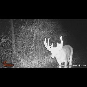 Meet your Posher, Ricky